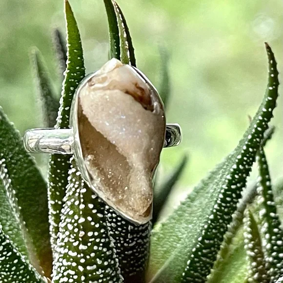 Incredible Natural Spiralite Fossil Druzy GemShell Ring | sz 10.25 - Picture 2 of 13
